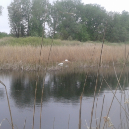 Pécz Tibor - Duna-Dráva Nemzeti Park