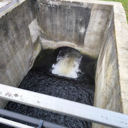 Dr. Pál-Schreiner Judit - Tettye Forrásház Zrt.