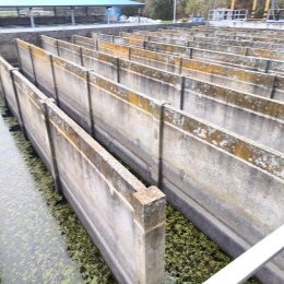 Dr. Pál-Schreiner Judit - Tettye Forrásház Zrt.