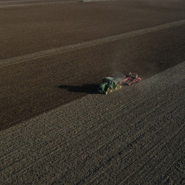 Zsebe Tamás - Bóly Zrt.-2025.10.31